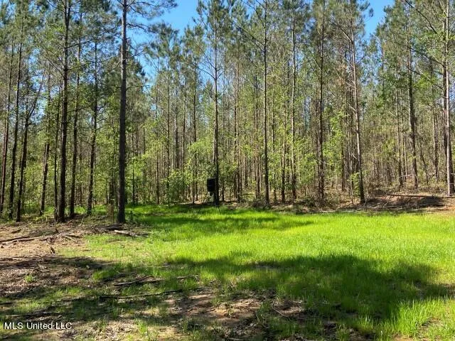$215,000 | 5033 Co Road, Heidelberg, MS 39439