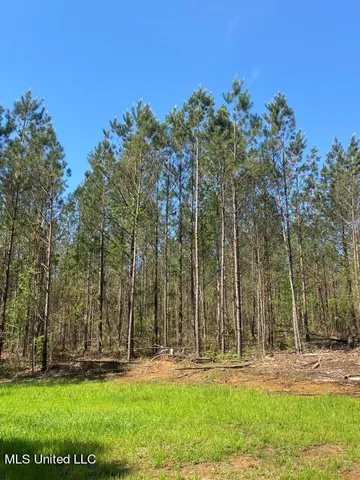 $215,000 | 5033 Co Road, Heidelberg, MS 39439