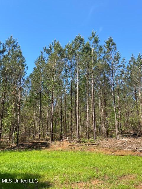 5033 Co Road Heidelberg, MS 39439 - Photo 25 of 39 Photo Apr 04 2023, 10 48 22 AM