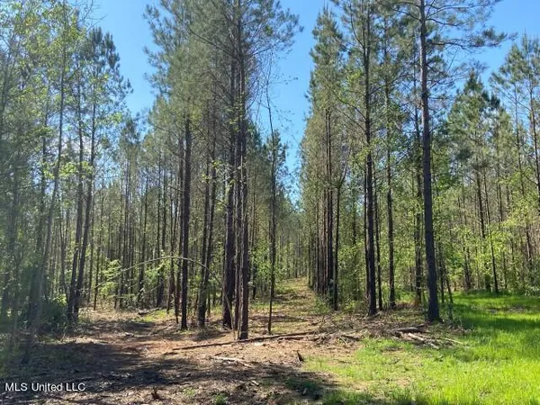 $215,000 | 5033 Co Road, Heidelberg, MS 39439