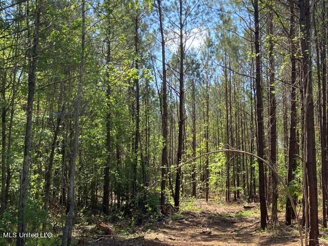 5033 Co Road Heidelberg, MS 39439 - Photo 27 of 39 Photo Apr 04 2023, 10 49 56 AM