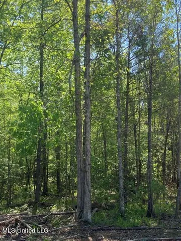 $215,000 | 5033 Co Road, Heidelberg, MS 39439