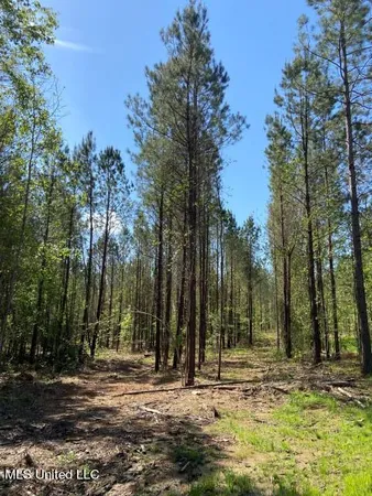 $215,000 | 5033 Co Road, Heidelberg, MS 39439