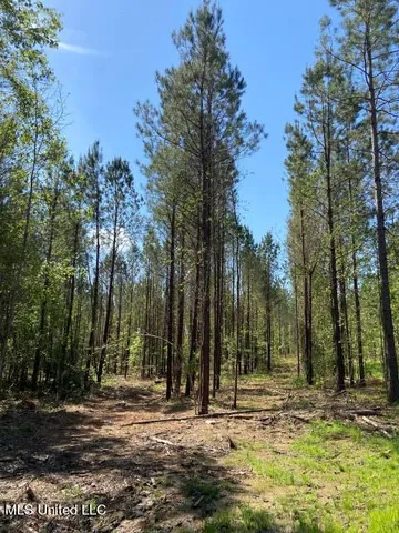 $215,000 | 5033 Co Road, Heidelberg, MS 39439