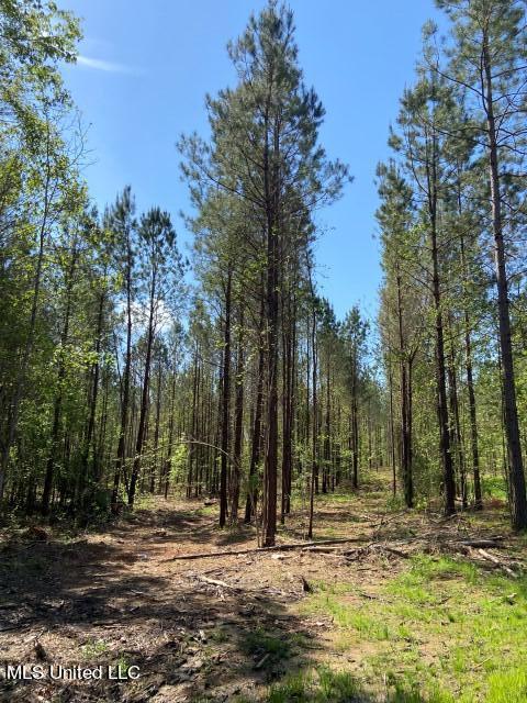 5033 Co Road Heidelberg, MS 39439 - Photo 29 of 39 Photo Apr 04 2023, 10 50 11 AM