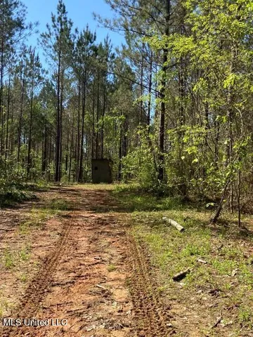 $215,000 | 5033 Co Road, Heidelberg, MS 39439