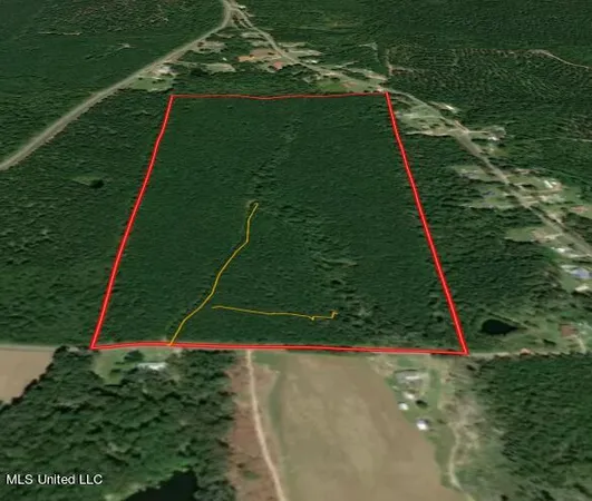 $215,000 | 5033 Co Road, Heidelberg, MS 39439