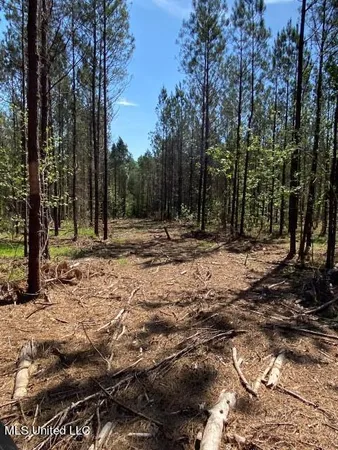 $215,000 | 5033 Co Road, Heidelberg, MS 39439