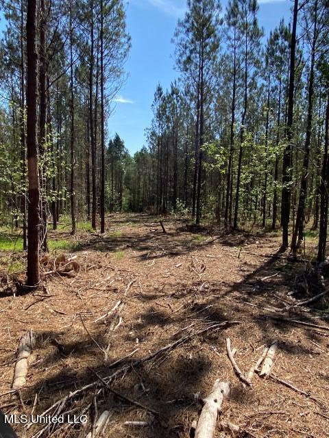 5033 Co Road Heidelberg, MS 39439 - Photo 31 of 39 Photo Apr 04 2023, 10 53 13 AM