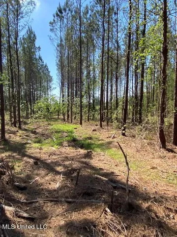 $215,000 | 5033 Co Road, Heidelberg, MS 39439