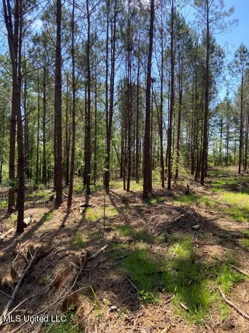 $215,000 | 5033 Co Road, Heidelberg, MS 39439