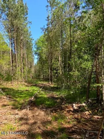 $215,000 | 5033 Co Road, Heidelberg, MS 39439