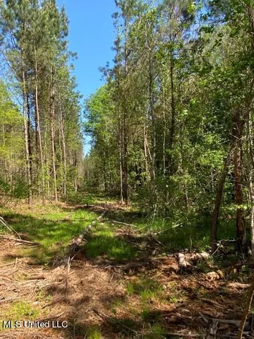 $215,000 | 5033 Co Road, Heidelberg, MS 39439