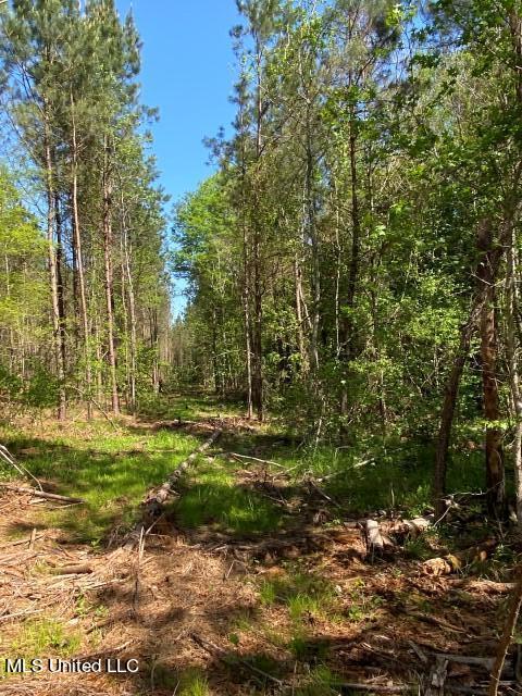 5033 Co Road Heidelberg, MS 39439 - Photo 34 of 39 Photo Apr 04 2023, 10 54 42 AM