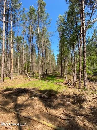 $215,000 | 5033 Co Road, Heidelberg, MS 39439