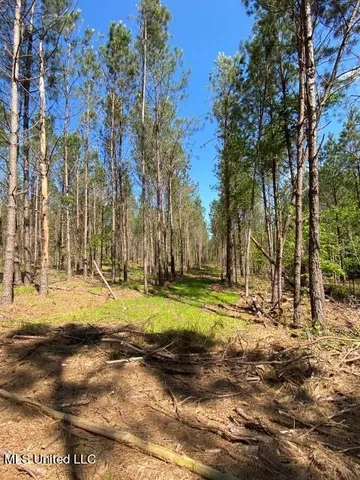 $215,000 | 5033 Co Road, Heidelberg, MS 39439