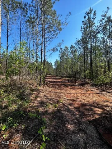 $215,000 | 5033 Co Road, Heidelberg, MS 39439