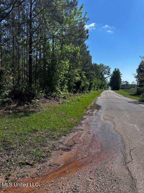 5033 Co Road Heidelberg, MS 39439 - Photo 4 of 39 Frontage Rd