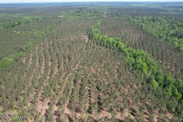 $215,000 | 5033 Co Road, Heidelberg, MS 39439