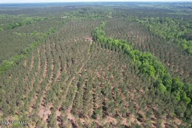 $215,000 | 5033 Co Road, Heidelberg, MS 39439