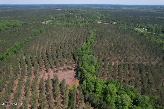 $215,000 | 5033 Co Road, Heidelberg, MS 39439