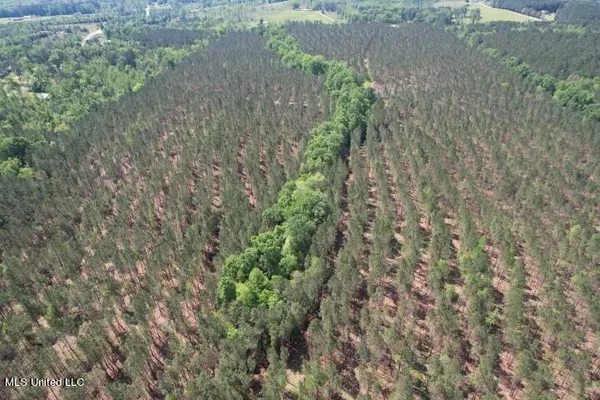 $215,000 | 5033 Co Road, Heidelberg, MS 39439