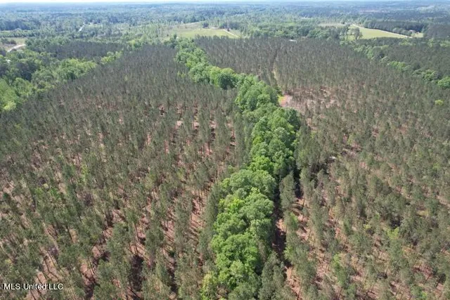 $215,000 | 5033 Co Road, Heidelberg, MS 39439