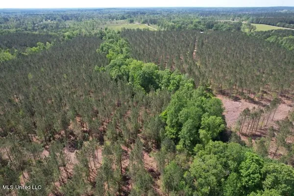 $215,000 | 5033 Co Road, Heidelberg, MS 39439