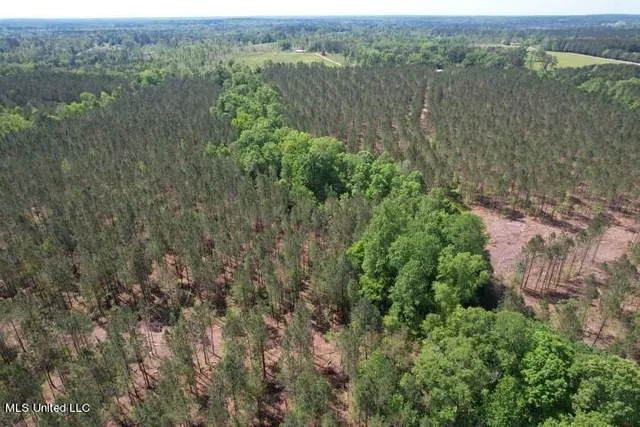 $215,000 | 5033 Co Road, Heidelberg, MS 39439