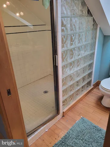 a bathroom with a shower and toilet