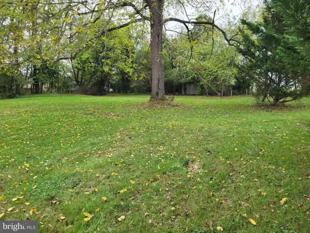 a view of a yard with a tree