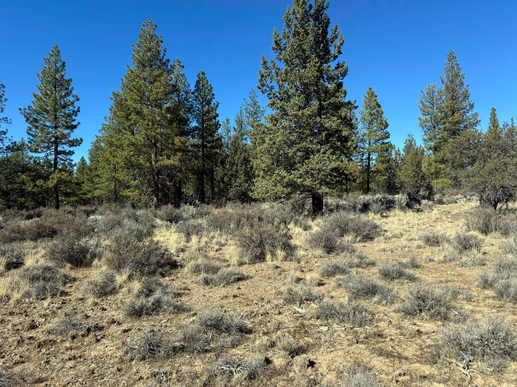Oregon Pines Road, Unit TL 600 Chiloquin, OR 97624 - Photo 34 of 51 IMG_4331