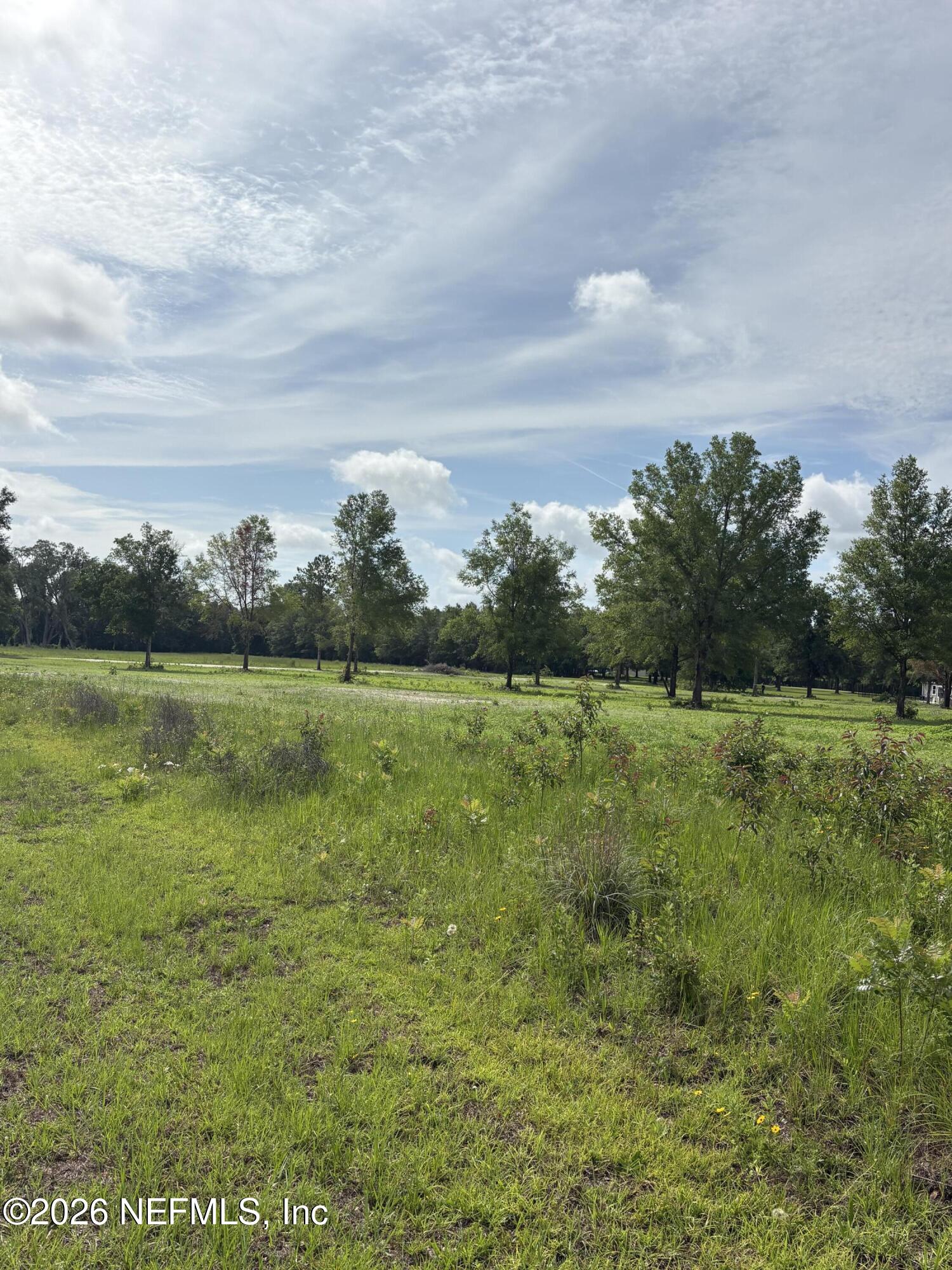 160-th 160th Path Wellborn, FL 32094 - Photo 4 of 4 IMG_7182