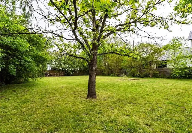 a view of a trees with a yard