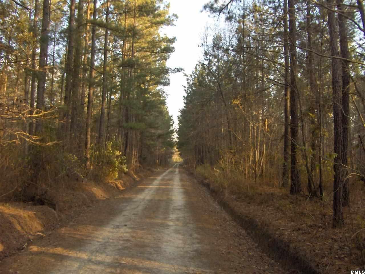 0 Henderson Road Varnville, SC 29944 - Photo 3 of 13 Additional Photo