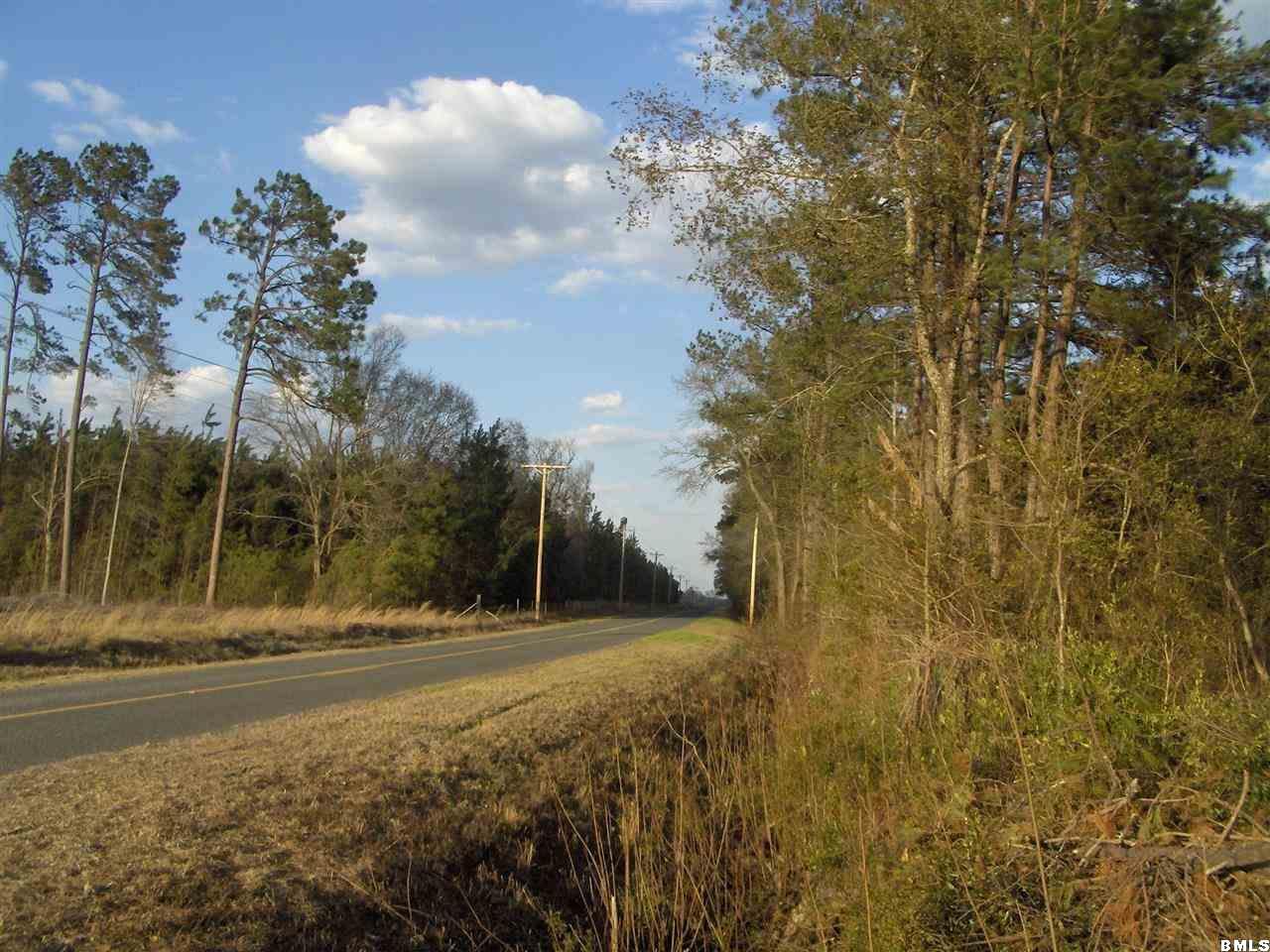 0 Henderson Road Varnville, SC 29944 - Photo 4 of 13 Additional Photo