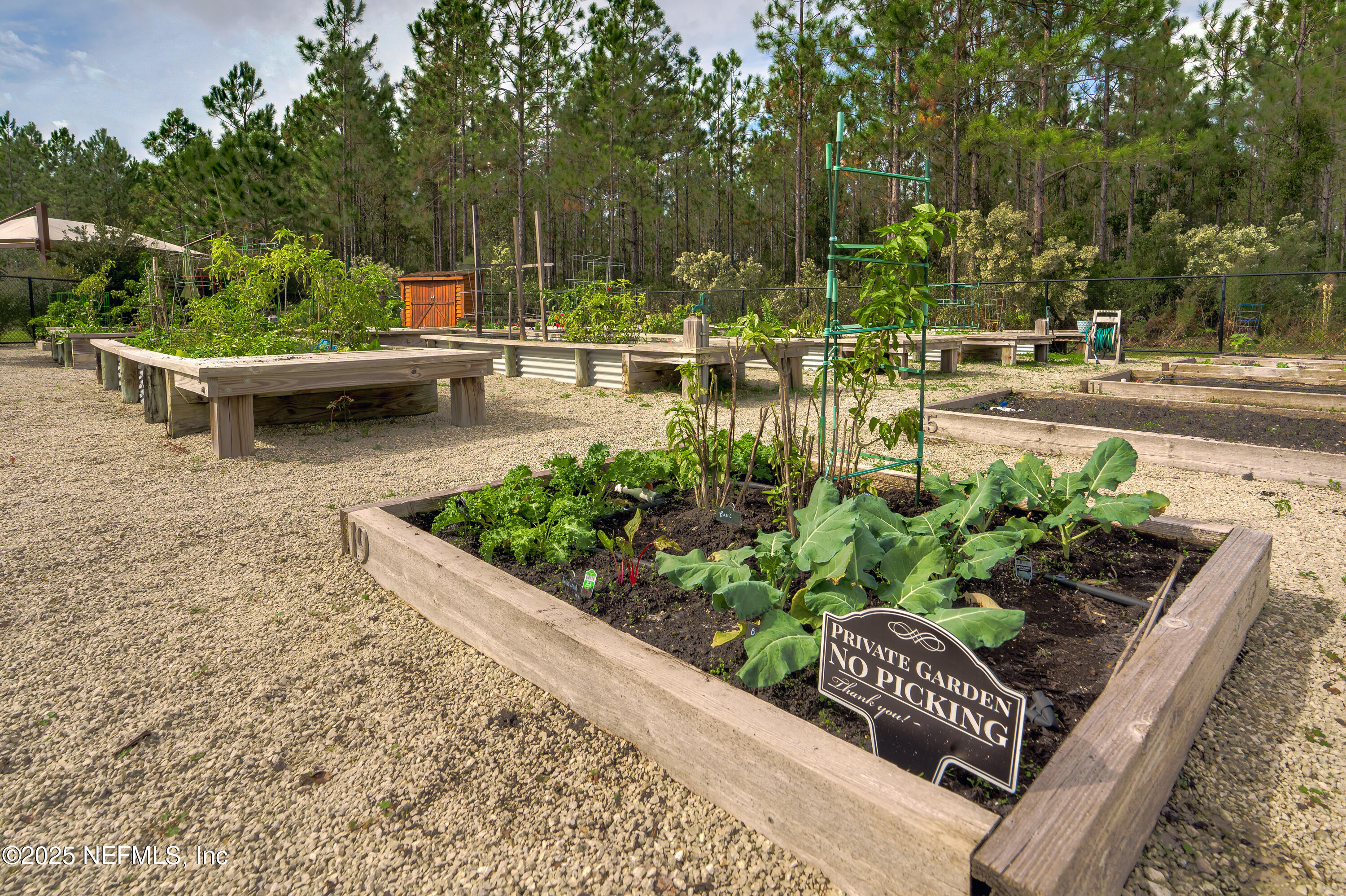 295 Seahill Drive St. Augustine, FL 32092 - Photo 101 of 101 a view of a garden with sitting area