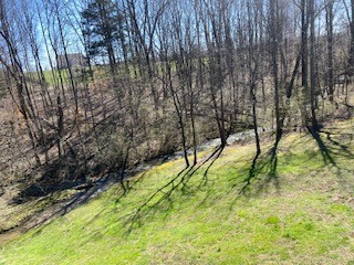 5006 Jimmie Neal Road Baxter, TN 38544 - Photo 3 of 22 a view of backyard with plants and large trees