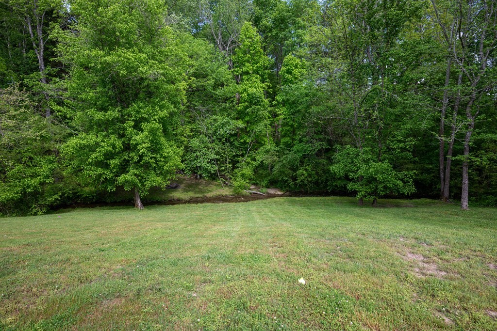 5006 Jimmie Neal Road Baxter, TN 38544 - Photo 4 of 22 a view of a green yard