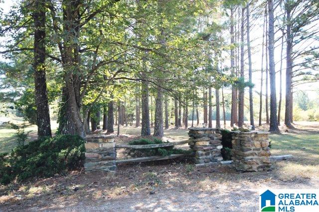 0 County Road 928, Unit 19 Delta, AL 36258 - Photo 23 of 43