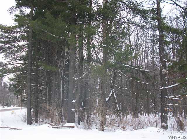 9287 Jennings Road Eden, NY 14057 - Photo 1 of 1 Exterior Front