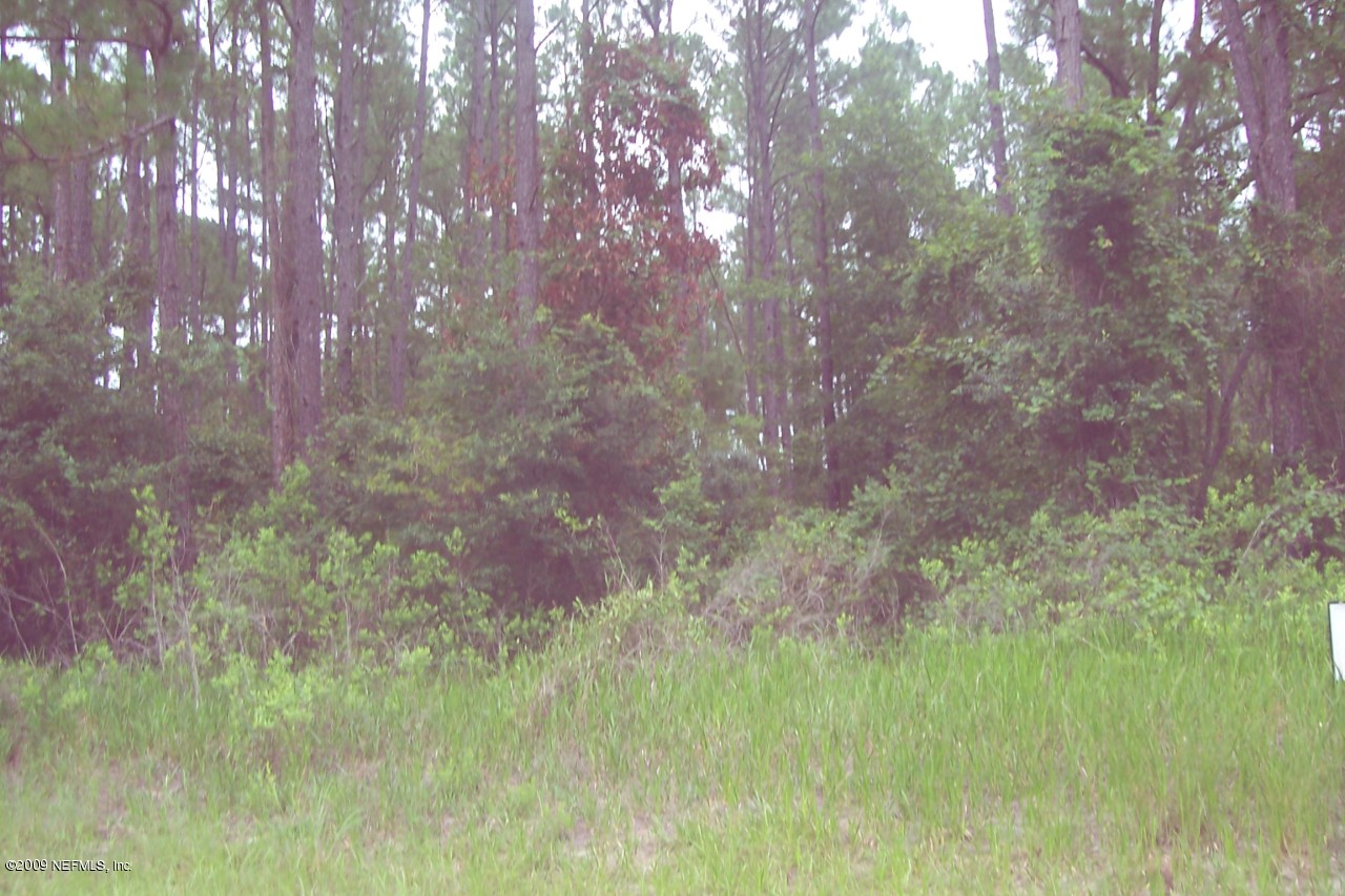 7631 Cache Keystone Heights Keystone Heights, FL 32656 - Photo 1 of 4 View from Road