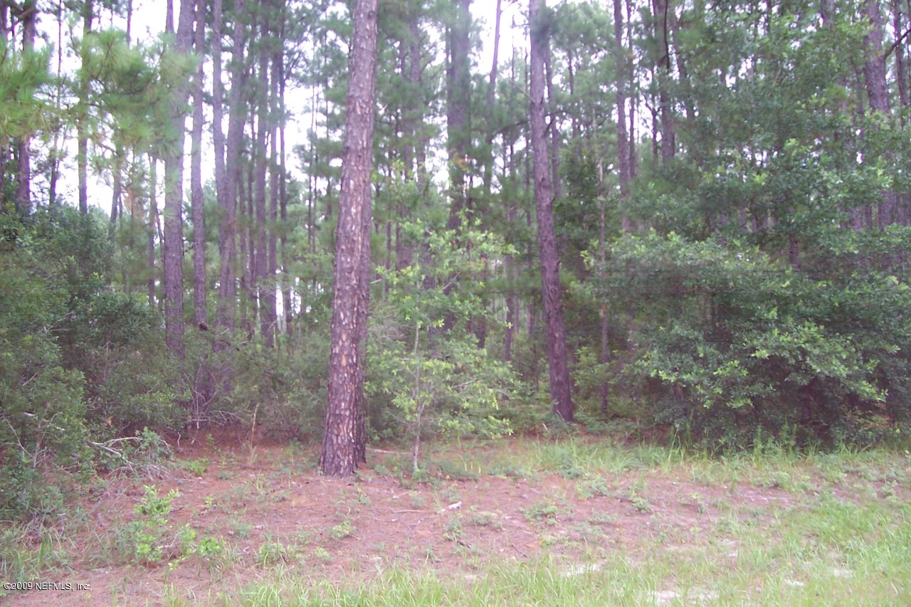 7631 Cache Keystone Heights Keystone Heights, FL 32656 - Photo 4 of 4 View 3