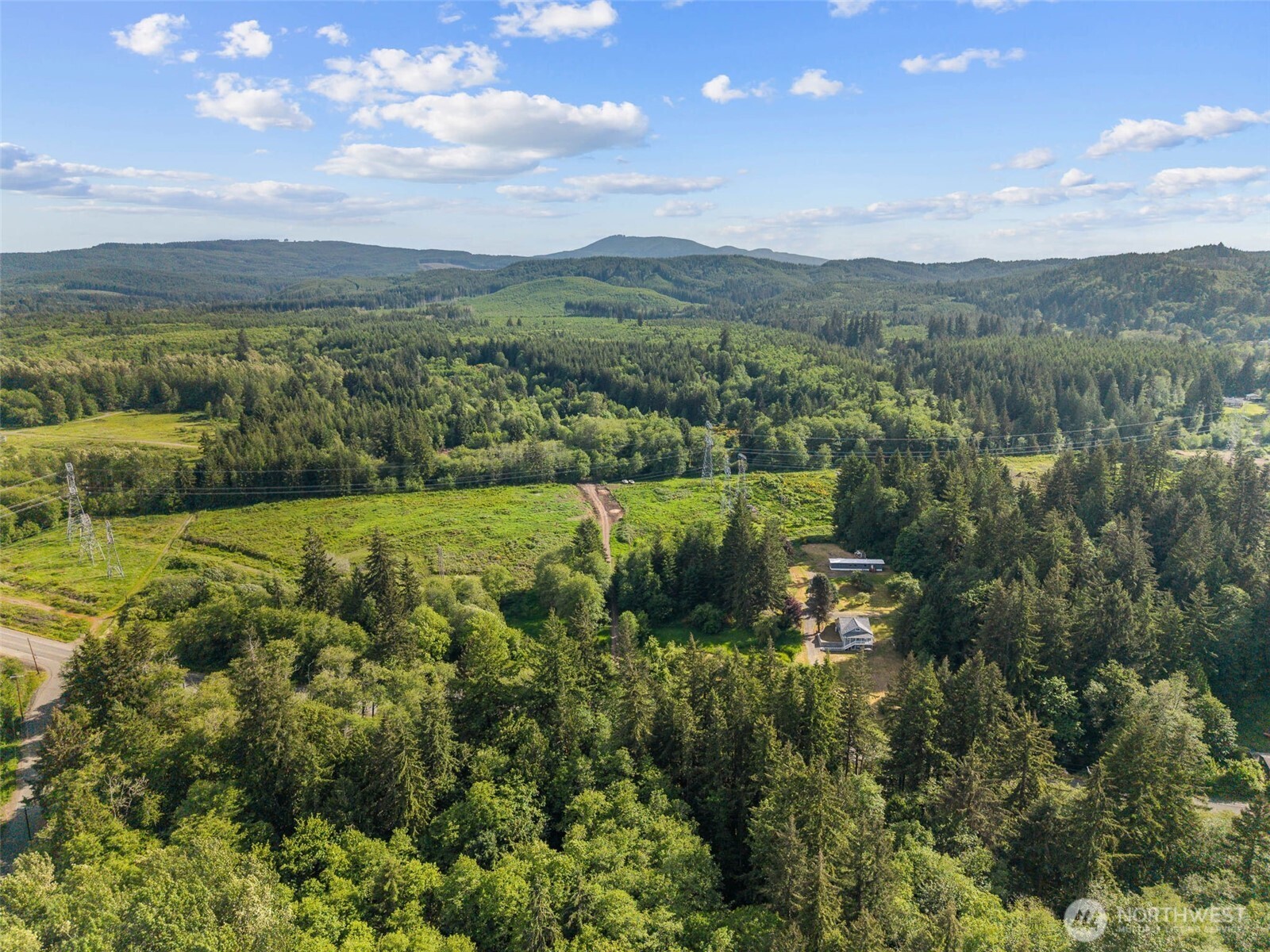 172 South Bank Road Elma, WA 98541 - Photo 36 of 40 a view of a lush green forest with mountains in the background