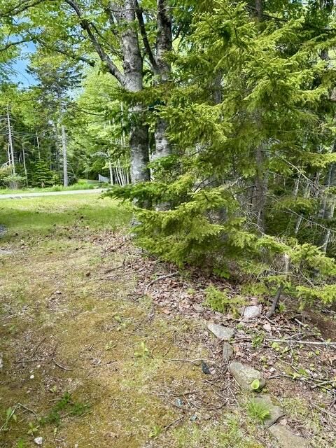336 Rays Point Road Milbridge, ME 04658 - Photo 41 of 46