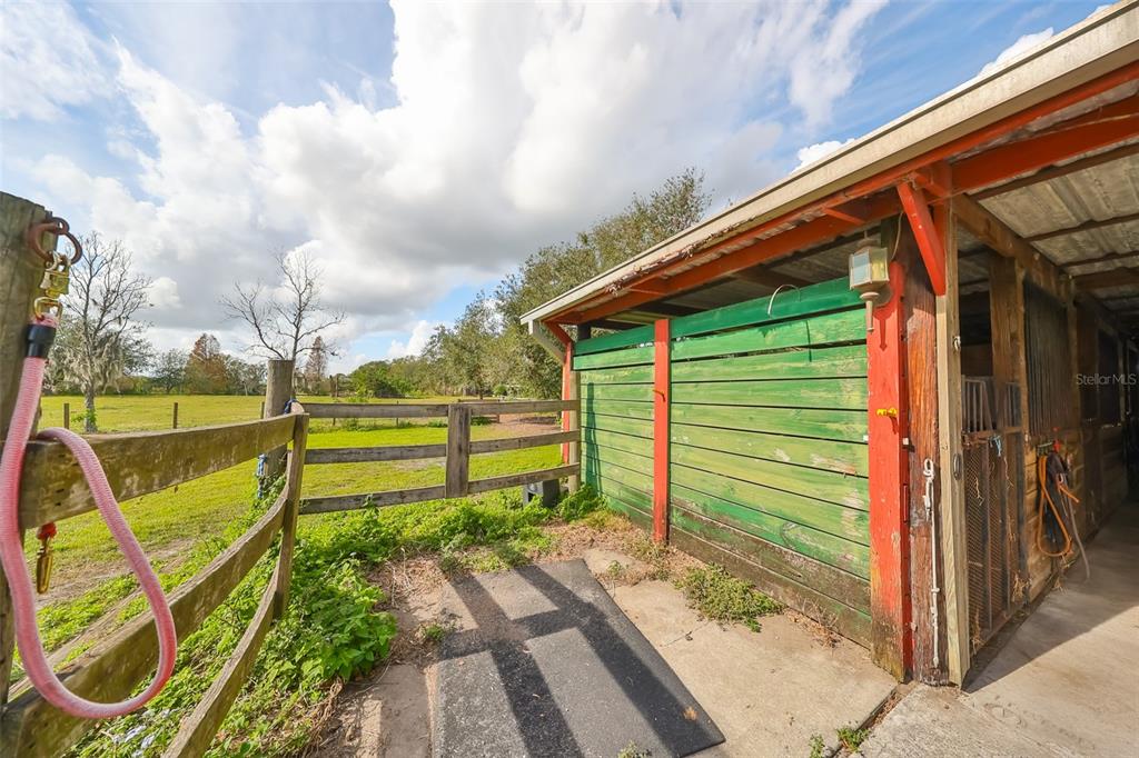 15624 Carlton Lake Road Wimauma, FL 33598 - Photo 13 of 35 a backyard of a house with lots of green space