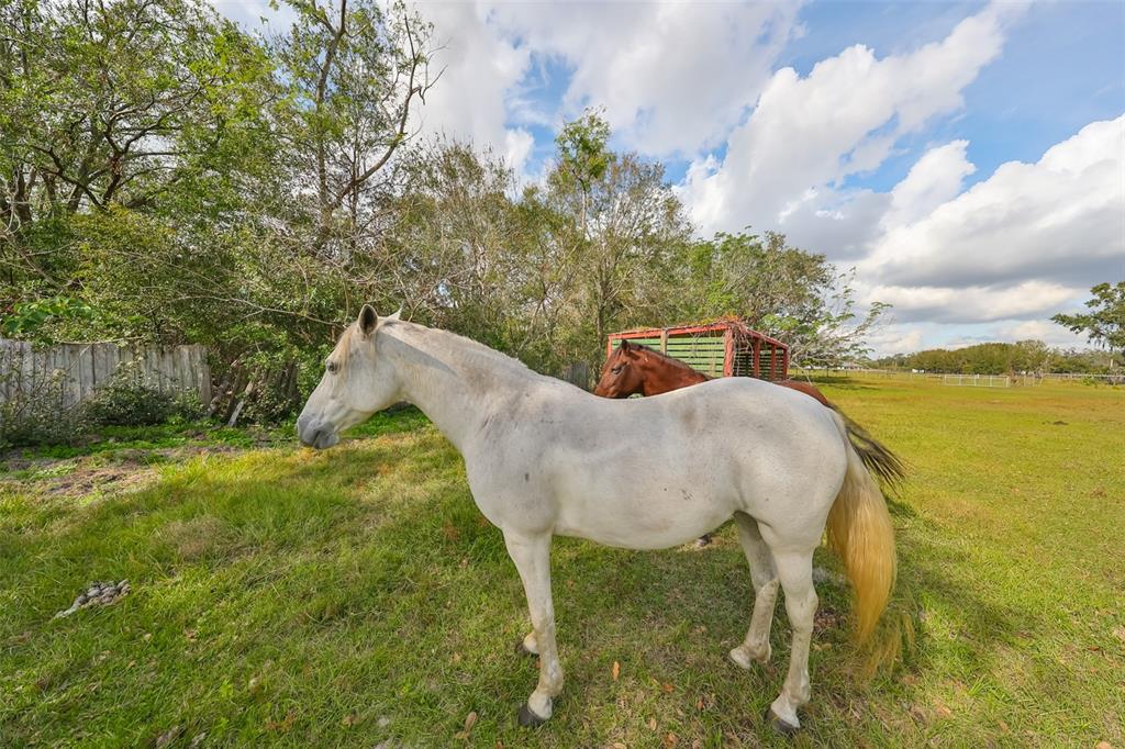 15624 Carlton Lake Road Wimauma, FL 33598 - Photo 18 of 35