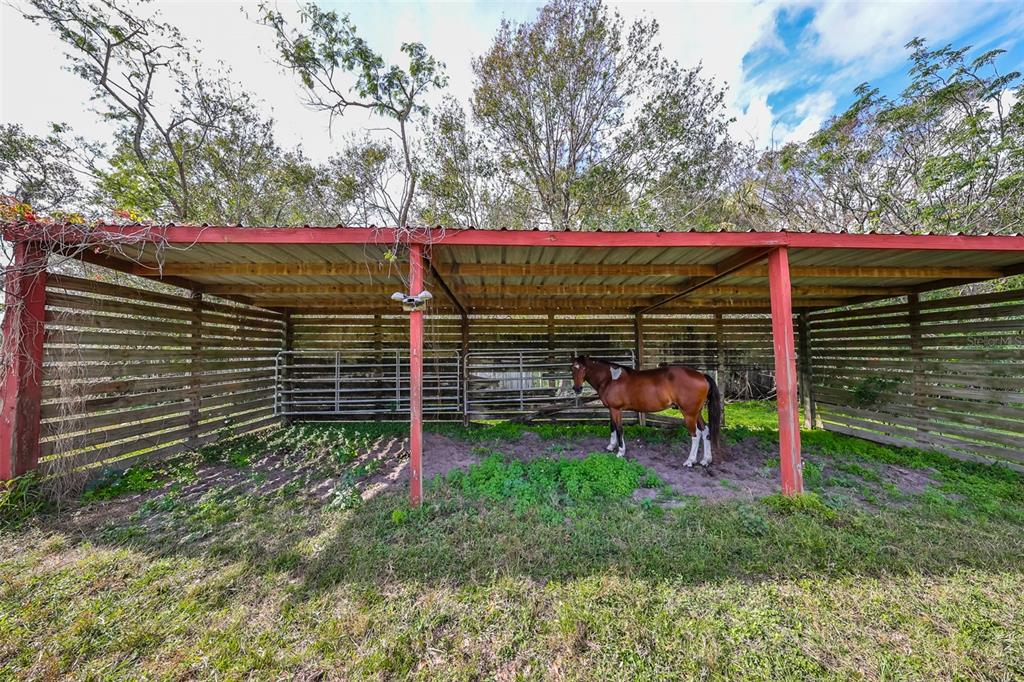 15624 Carlton Lake Road Wimauma, FL 33598 - Photo 19 of 35 a view of a backyard with a table and chairs