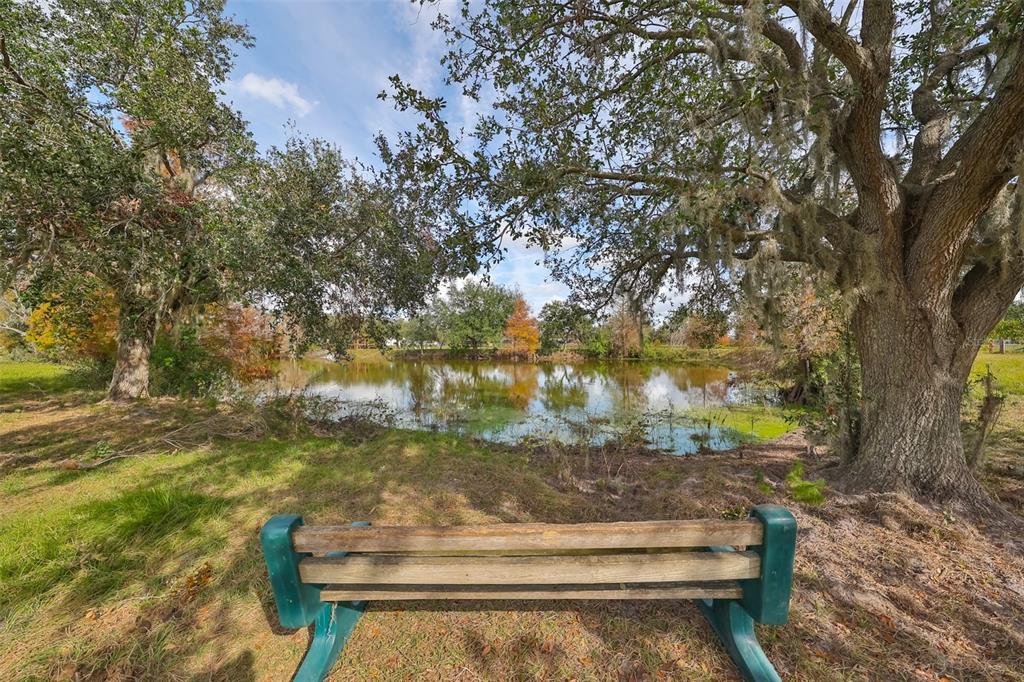 15624 Carlton Lake Road Wimauma, FL 33598 - Photo 9 of 35 a view of bench sitting in a forest