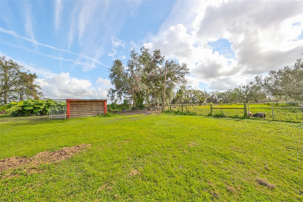 15624 Carlton Lake Road Wimauma, FL 33598 - Photo 10 of 35 a view of a green field